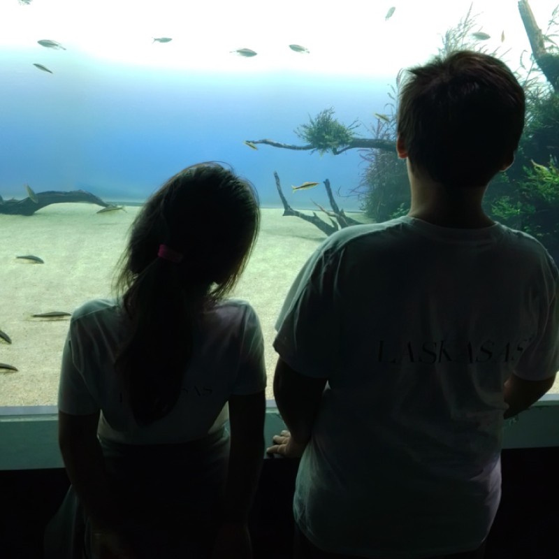 Utilize para  ver mais