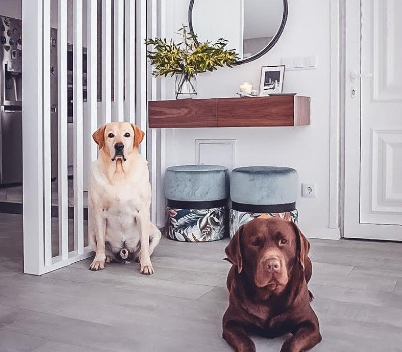 Utilize para ver mais