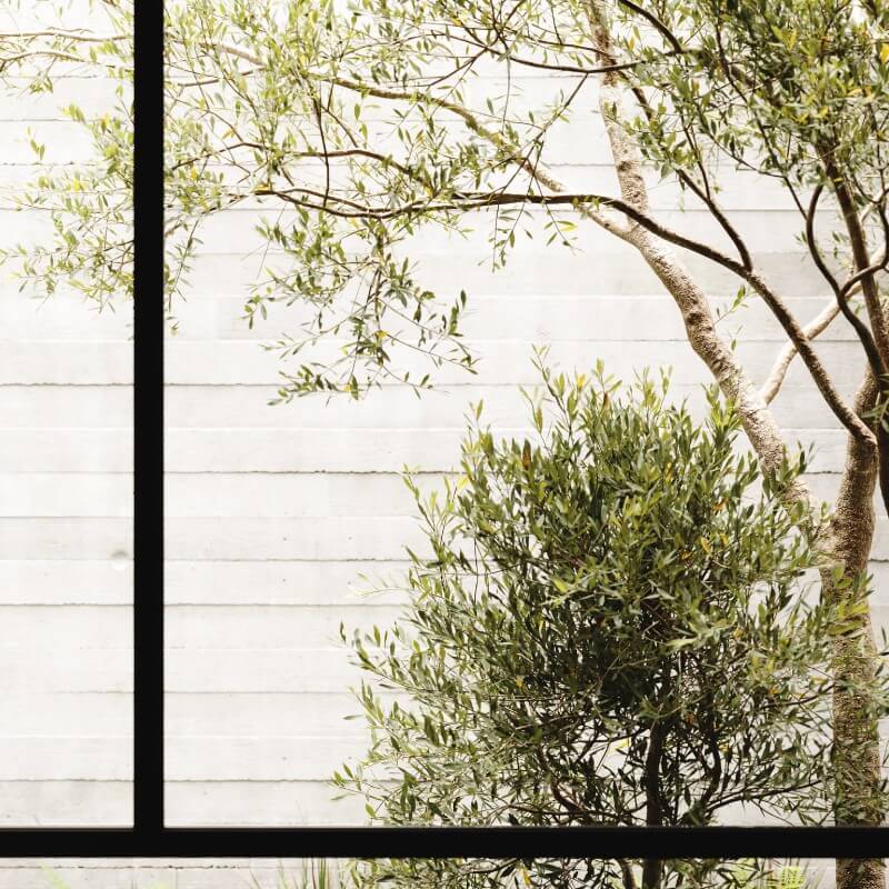 Utilize para ver mais