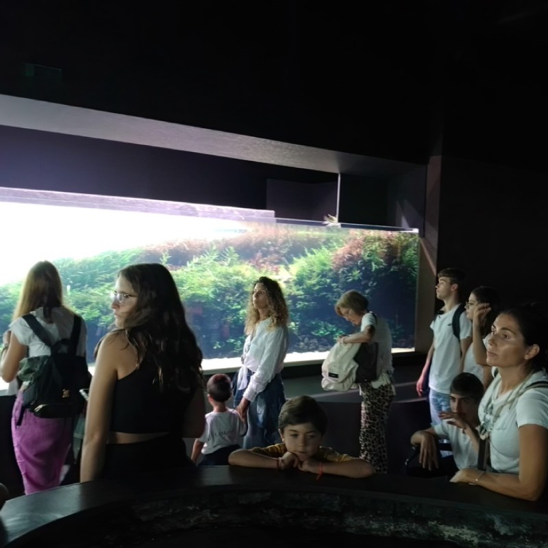 Utilize para  ver mais