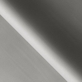 Use to berlin silver