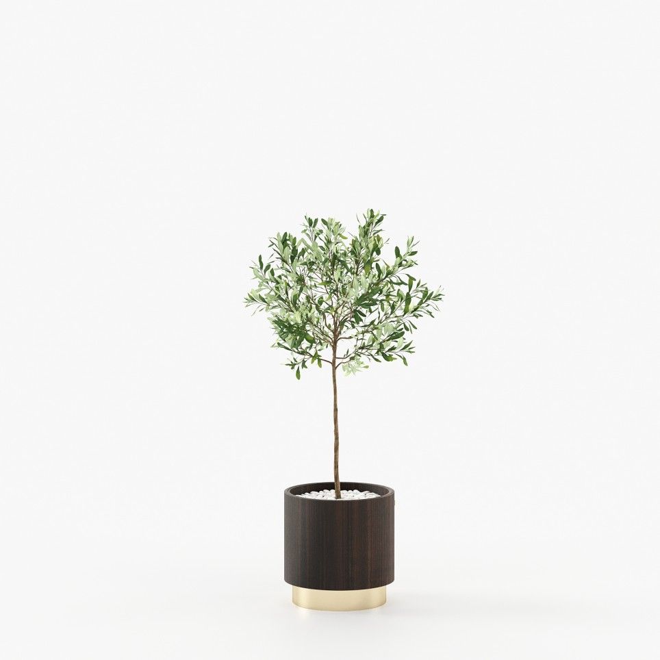 Gold Little Flower Pot