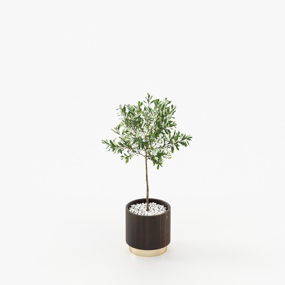 Gold Little Flower Pot
