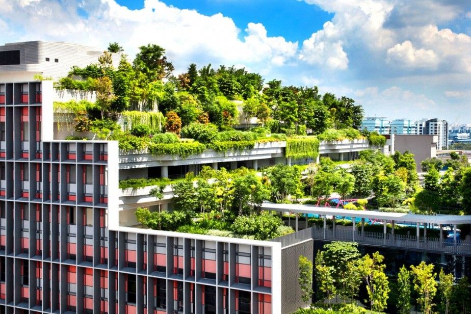 Asian Architecture Is Setting the Standard for Sustainable Living