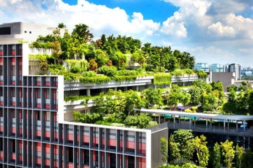 Asian Architecture Is Setting the Standard for Sustainable Living