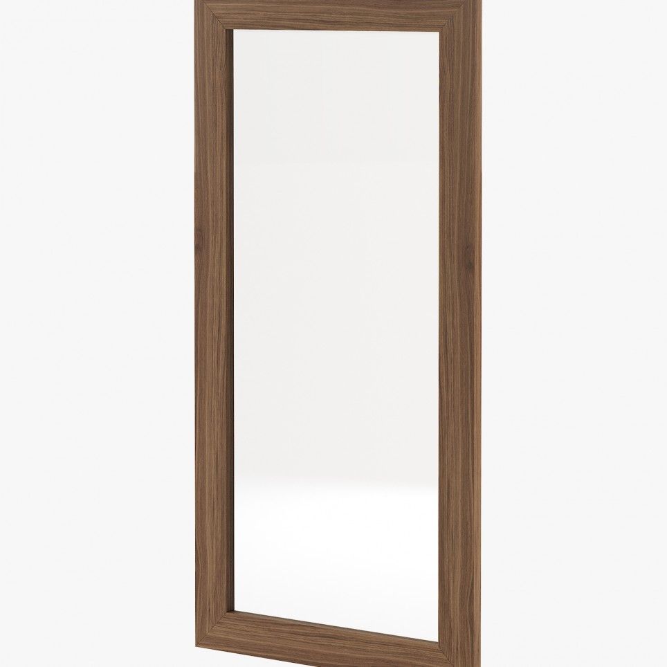 Texas Mirror Texas Mirror