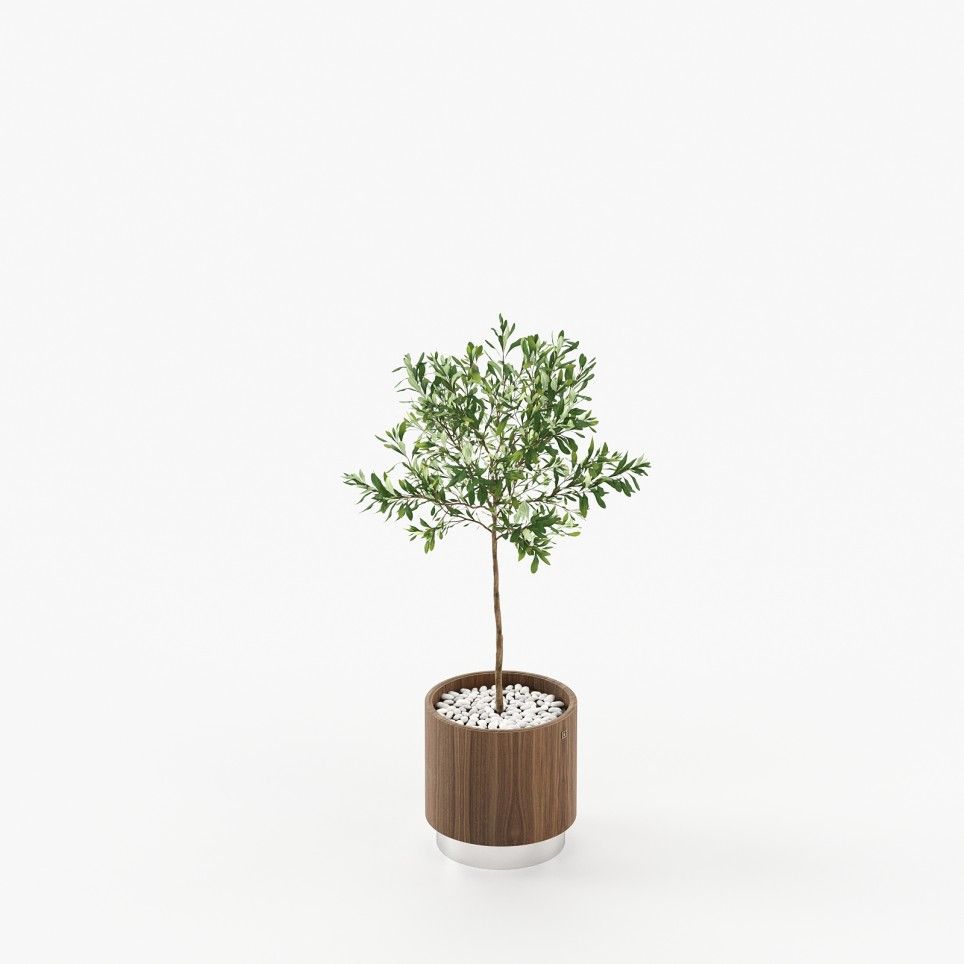 Gold Little Flower Pot Gold Little Flower Pot