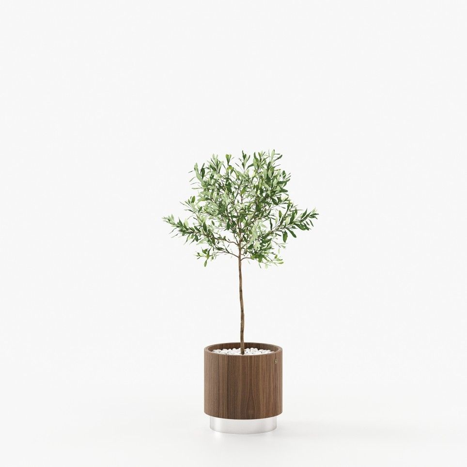 Gold Little Flower Pot Gold Little Flower Pot