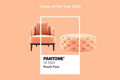 Embrace the Velvety Peach Fuzz - Pantone Colour of 2024