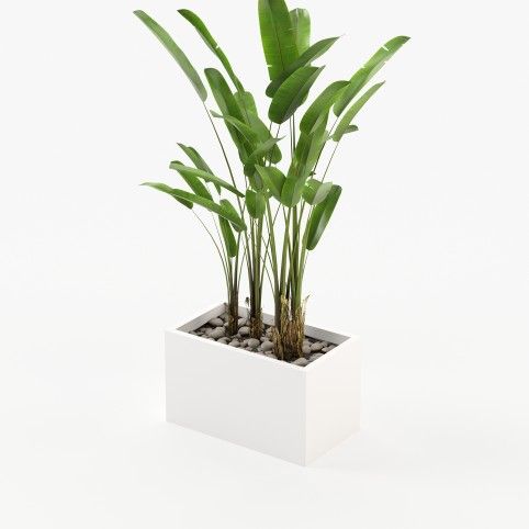 Stela Flower Pot