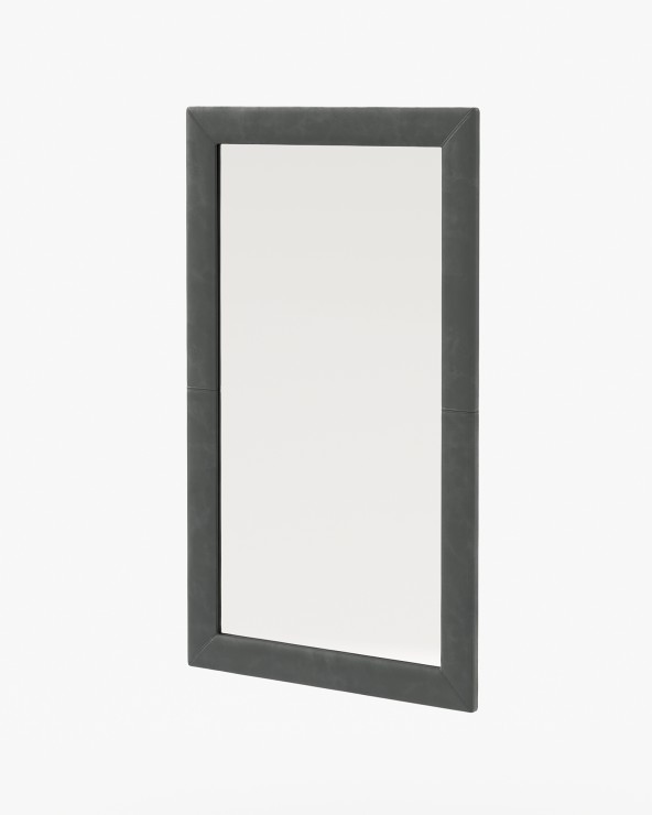 Iris mirror