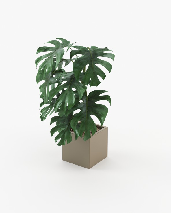 Stela Flower Pot