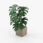 Stela Flower Pot Stela Flower Pot