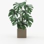 Stela Flower Pot Stela Flower Pot