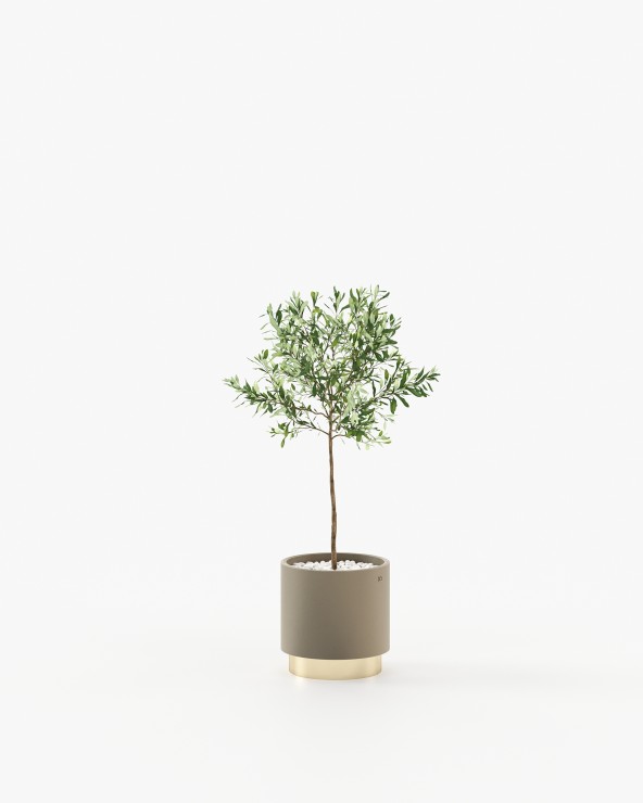 Gold little flower pot