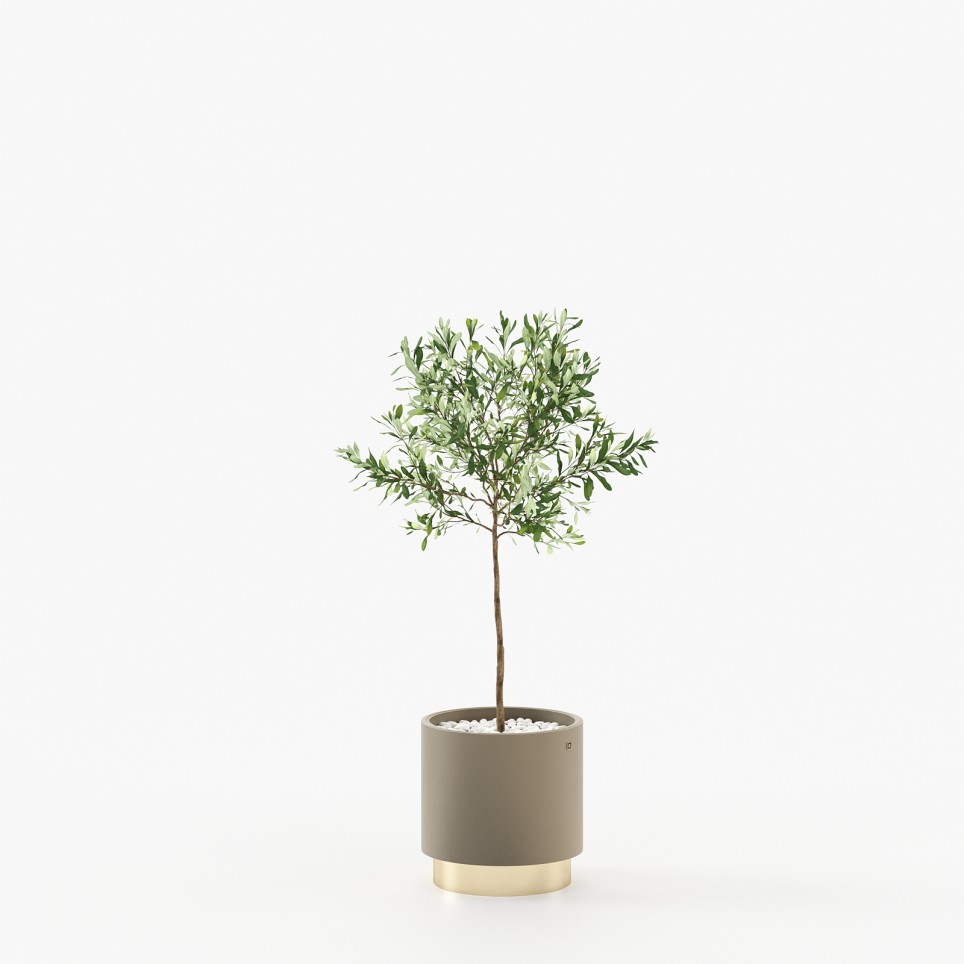 Gold Little Flower Pot Gold Little Flower Pot