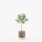 Gold little flower pot Gold little flower pot