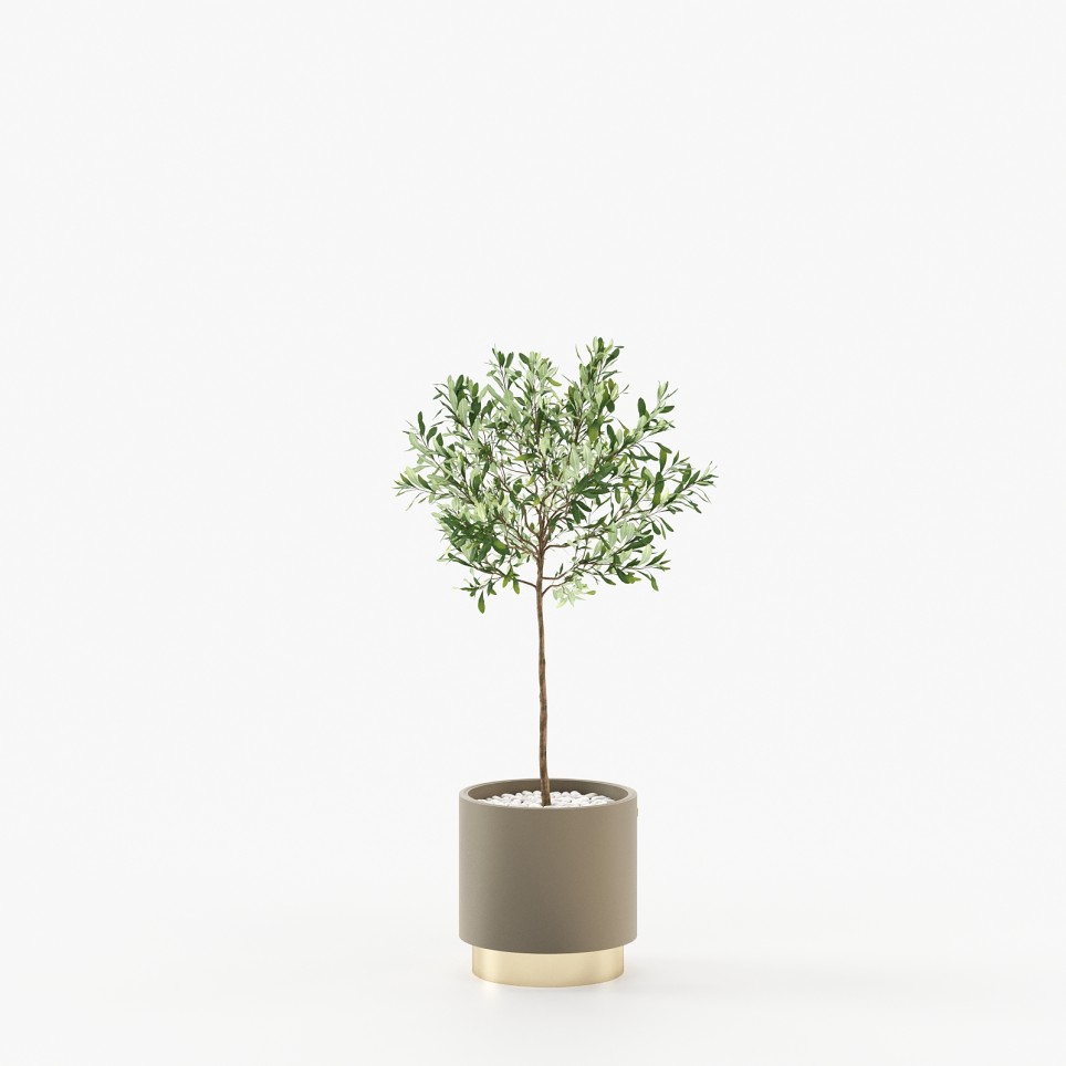Gold Little Flower Pot Gold Little Flower Pot