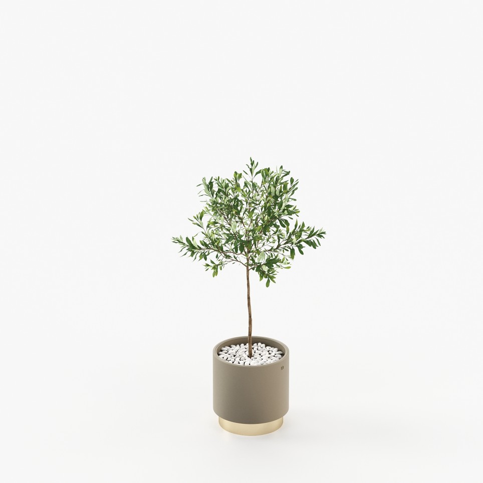 Gold Little Flower Pot Gold Little Flower Pot