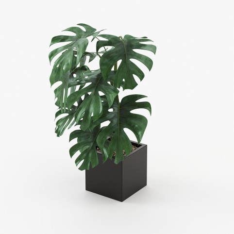 Stela Flower Pot