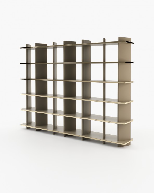 Mandela Bookshelf