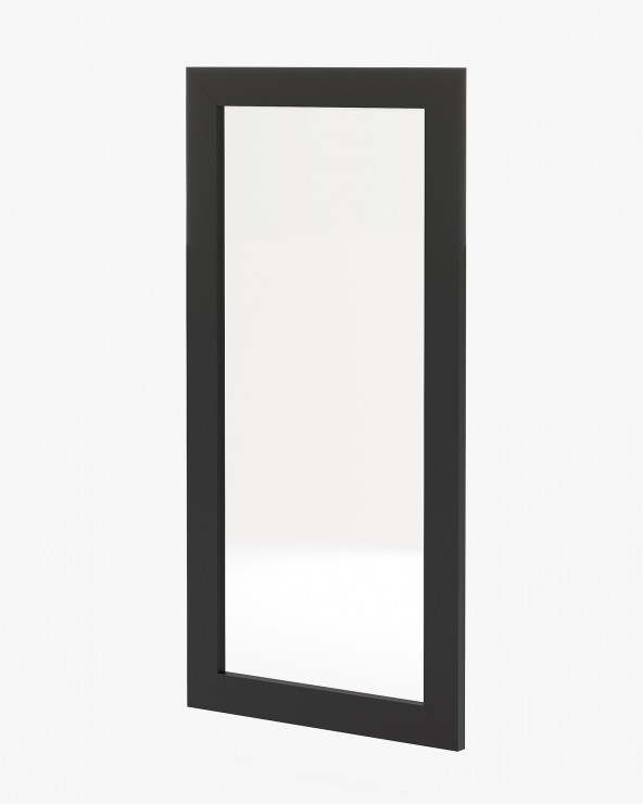 Texas Mirror