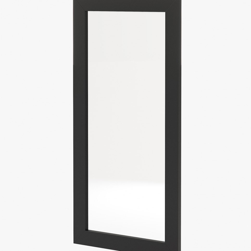 Texas Mirror