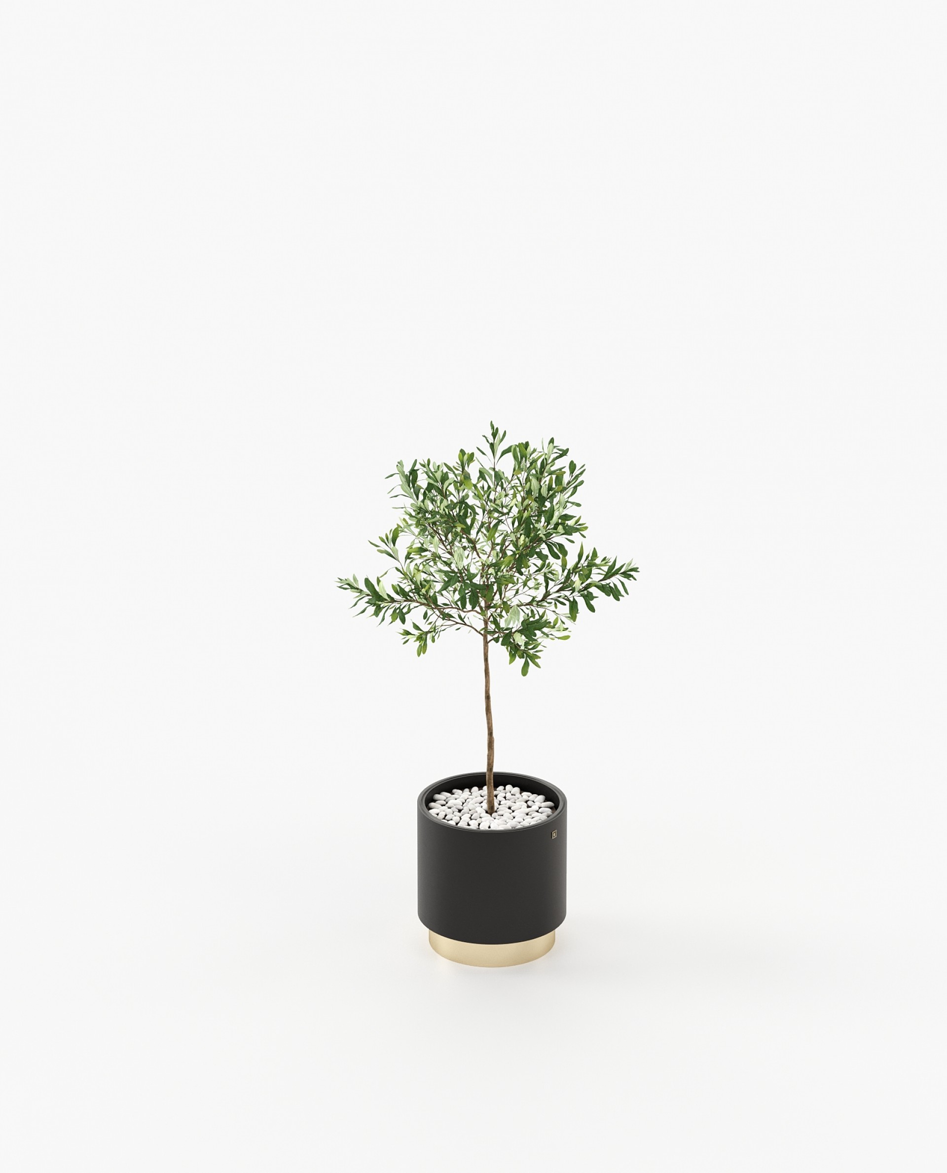 Gold Little Flower Pot