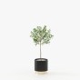Gold Little Flower Pot Gold Little Flower Pot