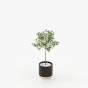 Gold Little Flower Pot Gold Little Flower Pot