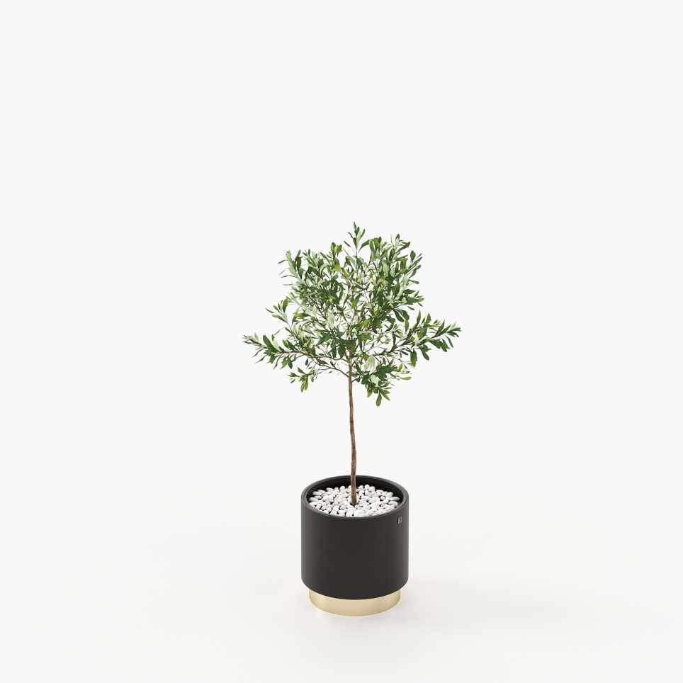 Gold Little Flower Pot Gold Little Flower Pot
