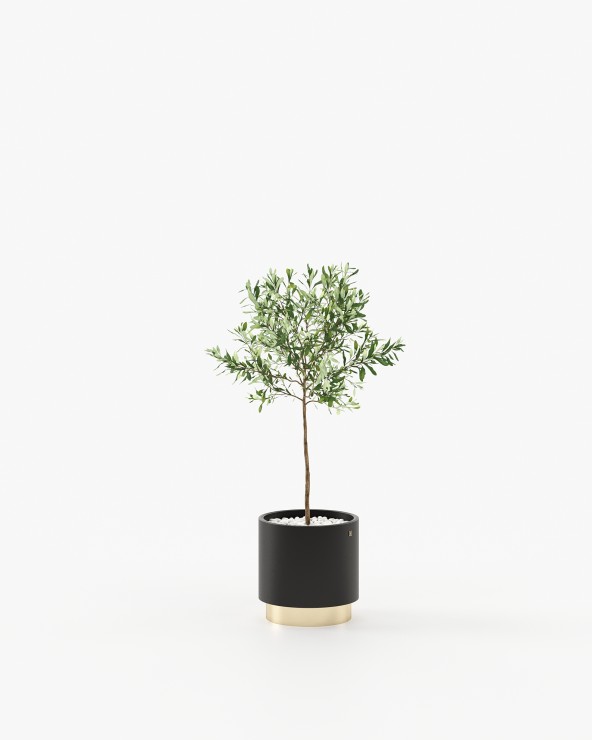 Gold Little Flower Pot Gold Little Flower Pot