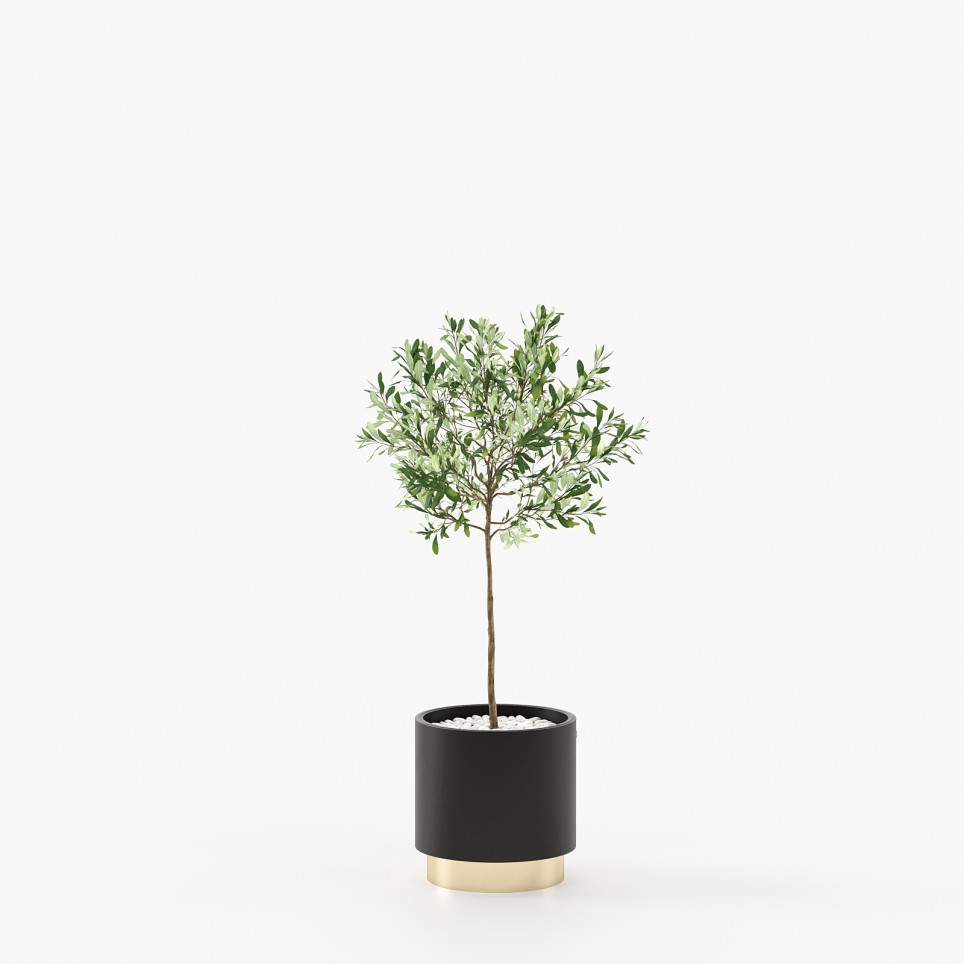 Gold Little Flower Pot Gold Little Flower Pot