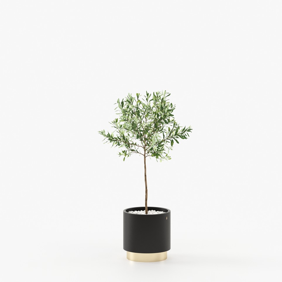 Gold Little Flower Pot Gold Little Flower Pot